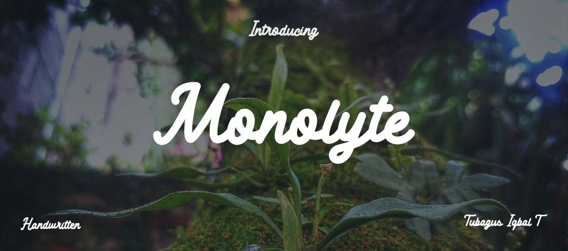Monolyte Font