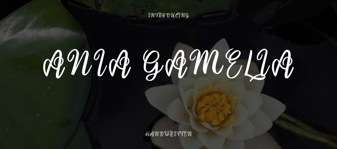 Ania Gamelia Font