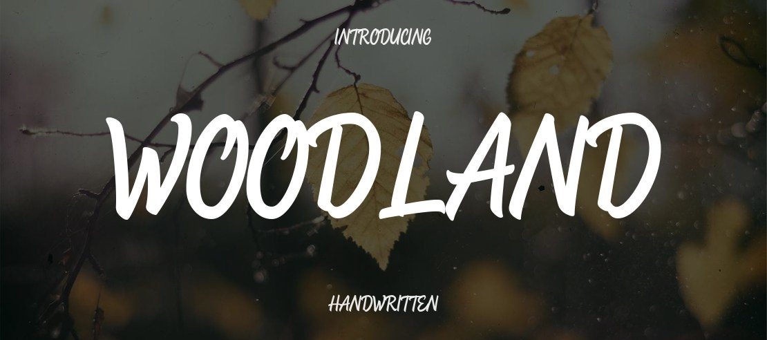 Woodland Font