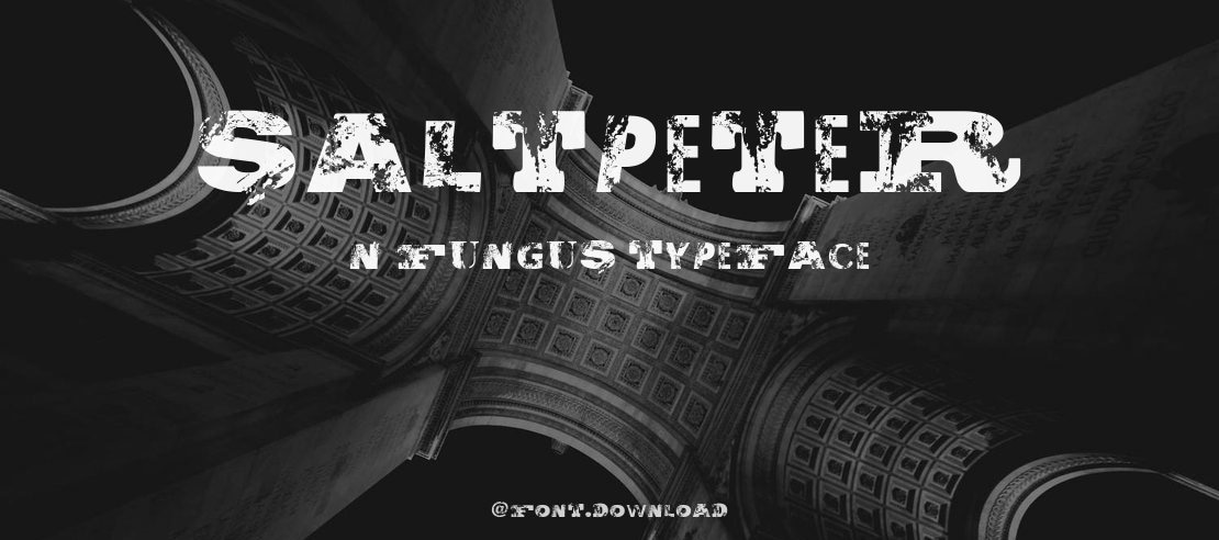 Saltpeter N Fungus Font