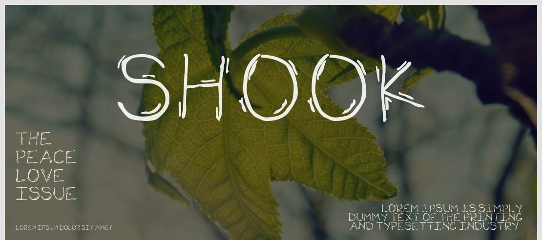 Shook Font