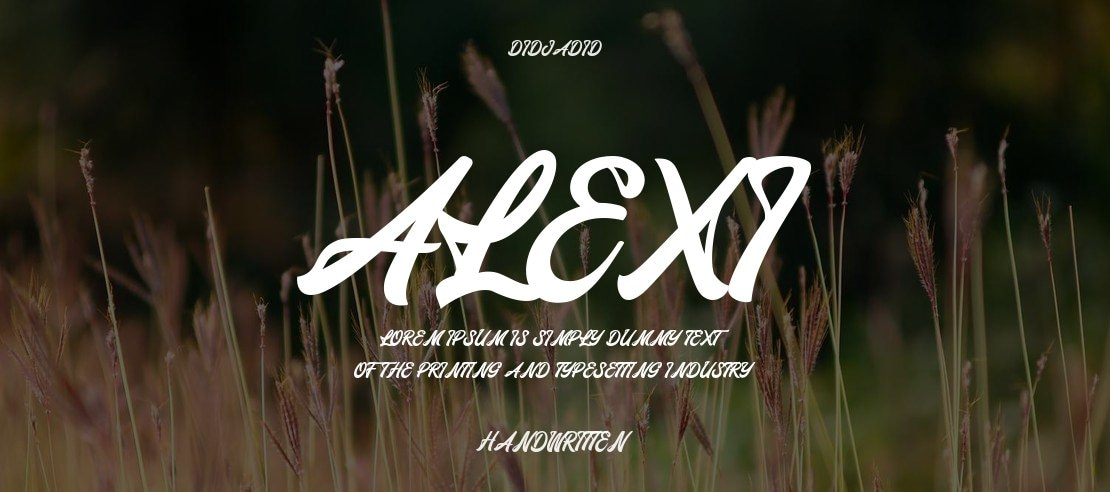 Alexi Font