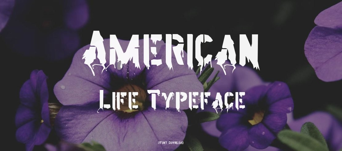 American Life Font