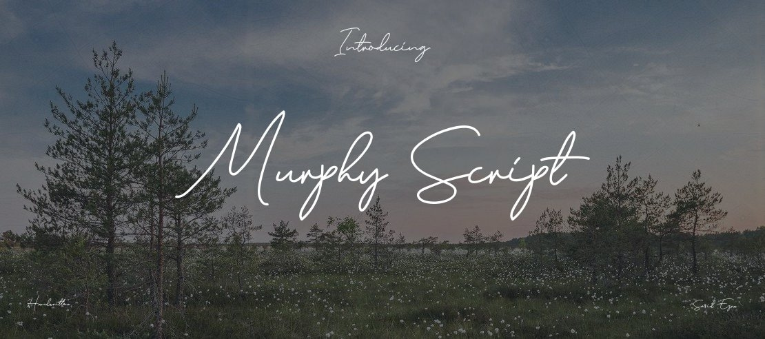 Murphy Script Font