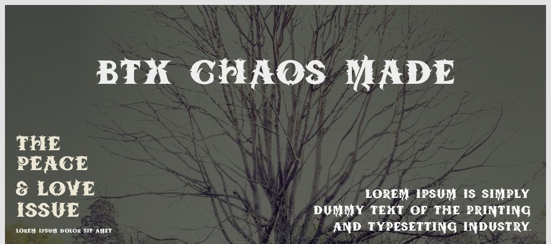 BTX-Chaos-Made Font Family