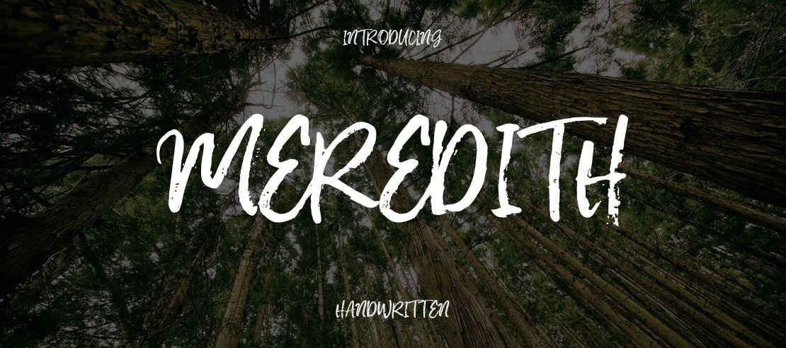 Meredith Font