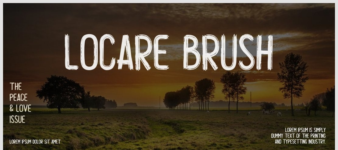 Locare Brush Font