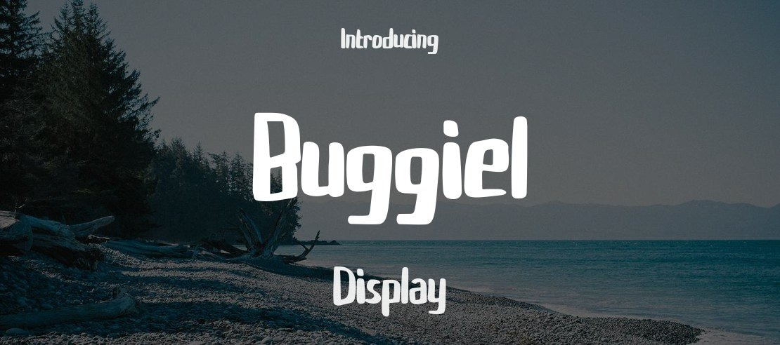 Buggiel Font