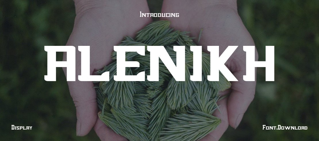 alenikh Font Family