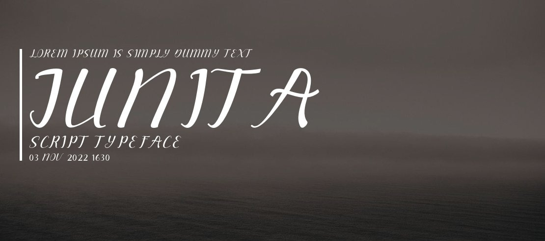 junita script Font