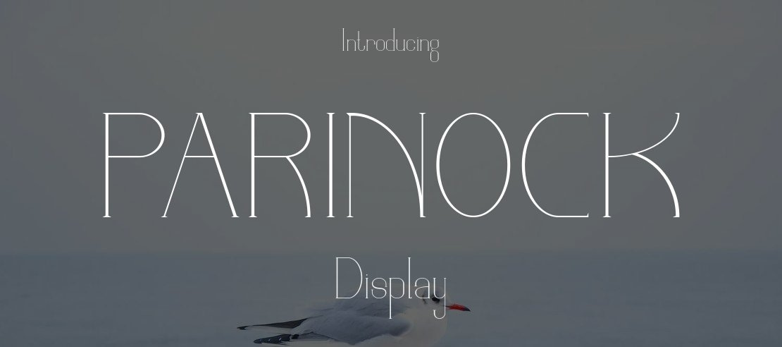 PARINOCK Font