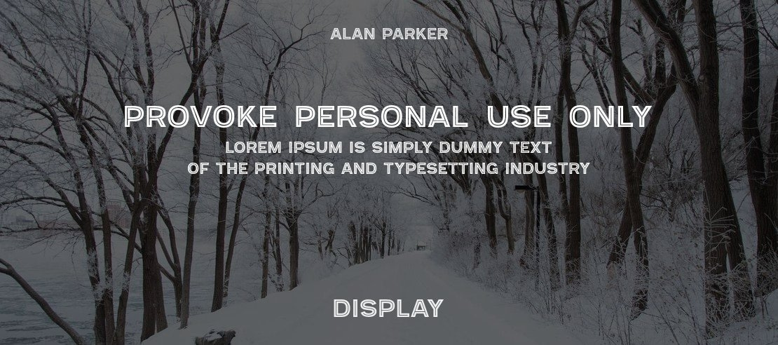 Provoke-Personal-Use-Only Font