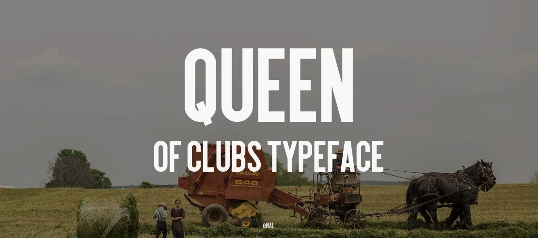 Queen of Clubs Font