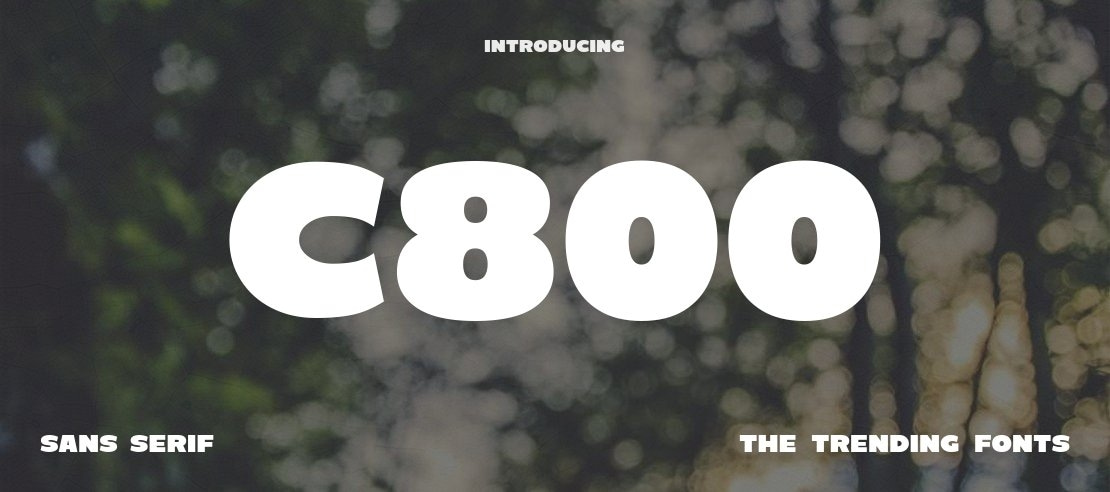 C800 Font