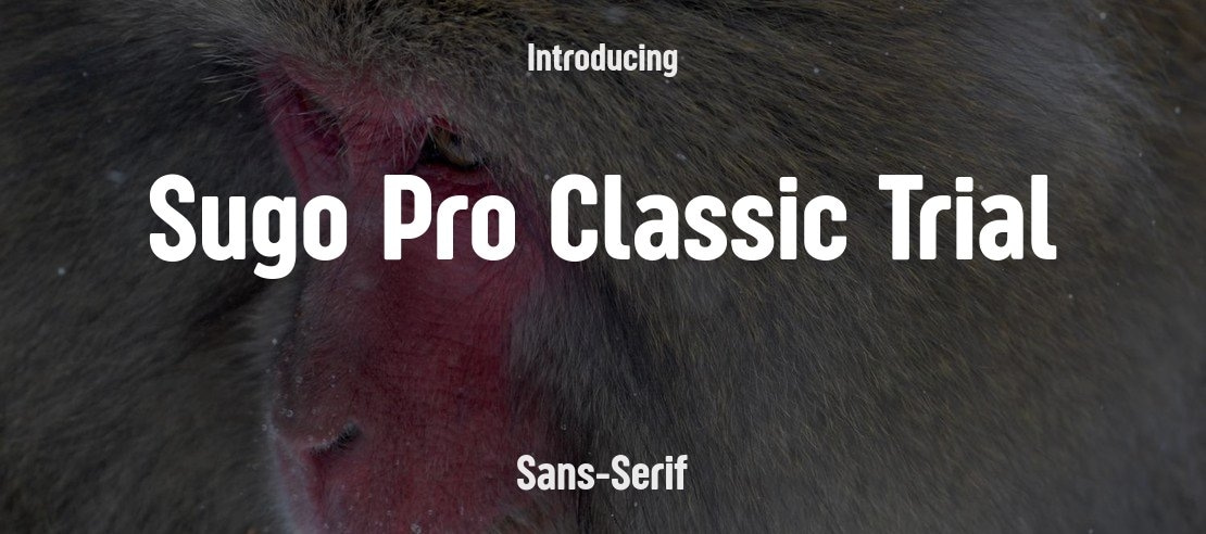 Sugo Pro Classic Trial Font Family