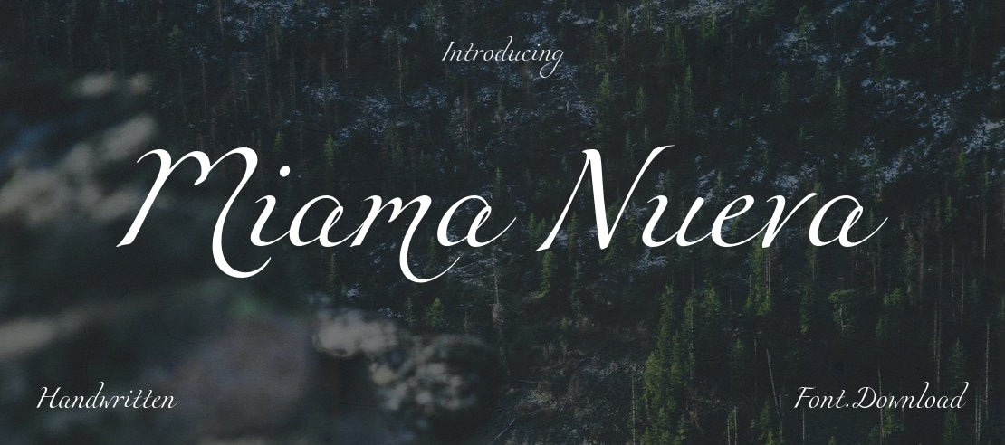 Miama Nueva Font