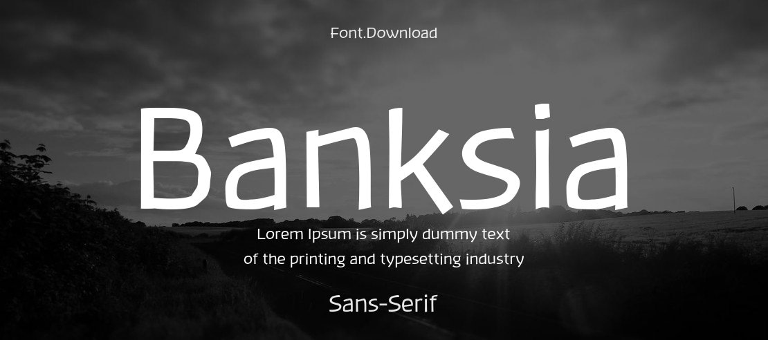 Banksia Font Family