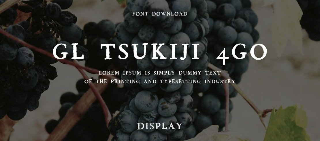 GL-Tsukiji-4go Font