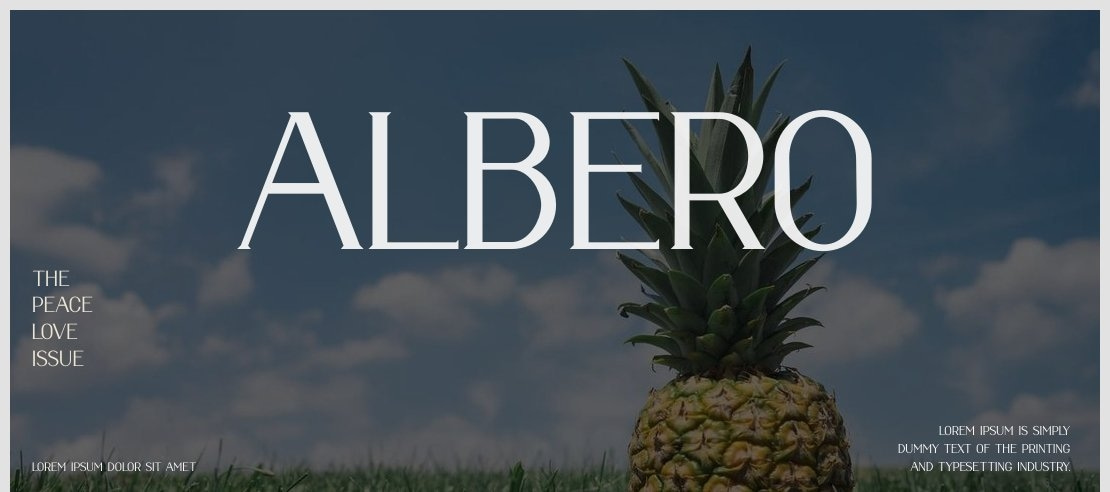 ALBERO Font