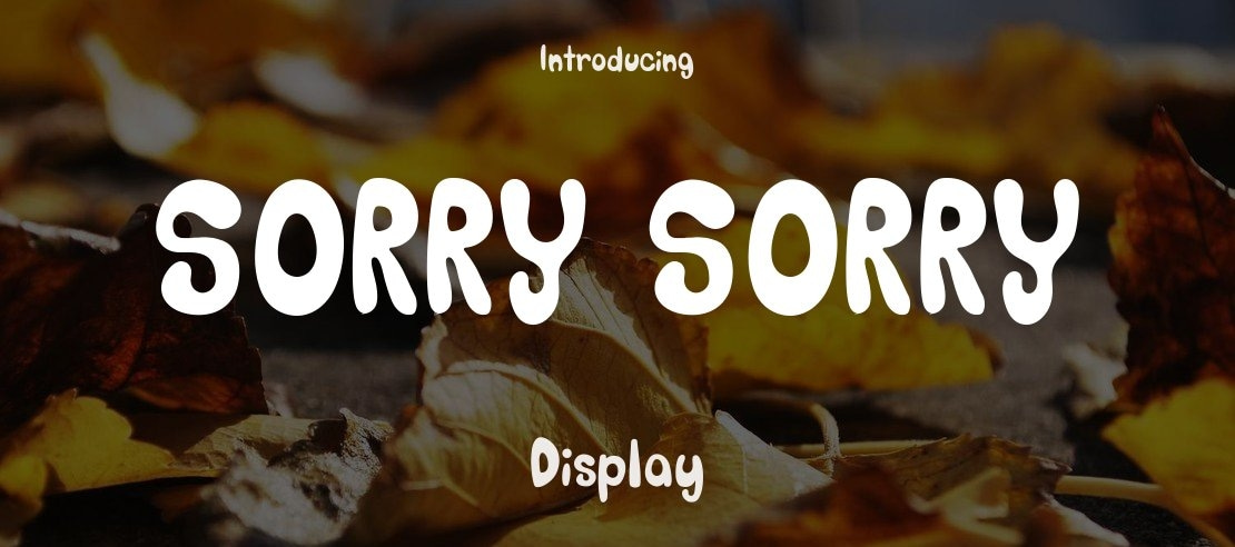 SORRY_SORRY Font