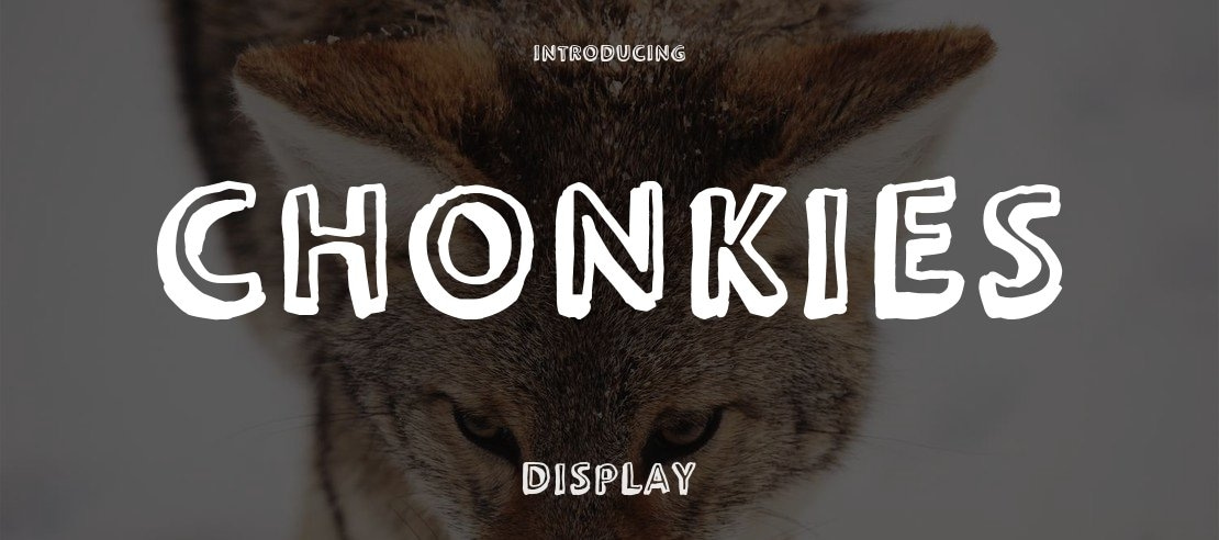 Chonkies Font