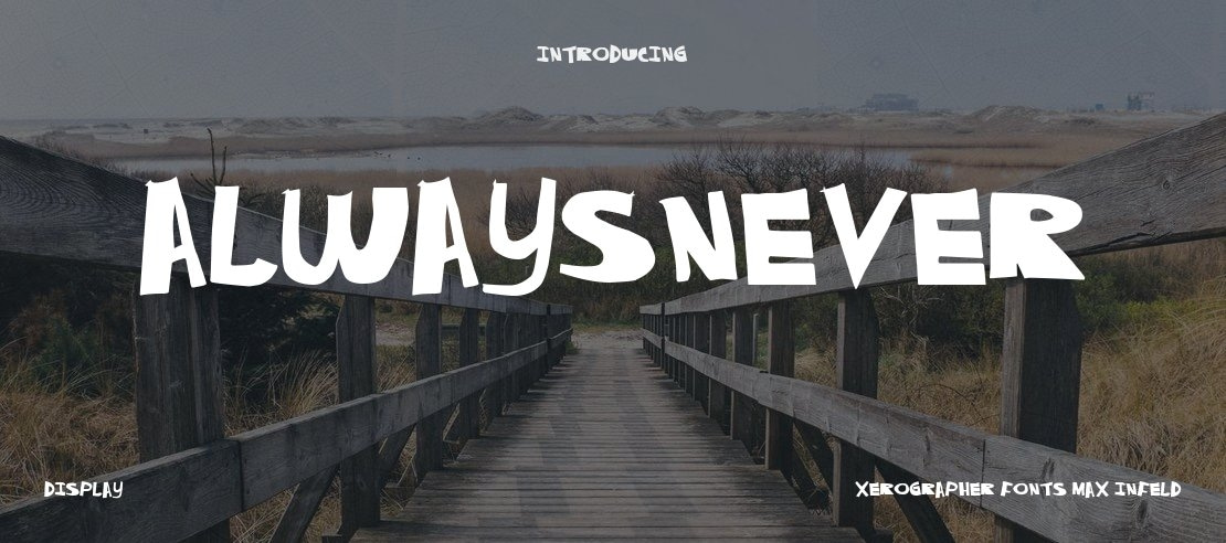 AlwaysNever Font