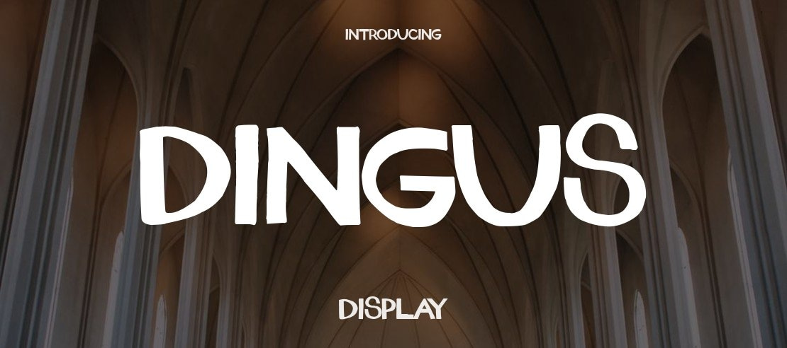 dingus Font