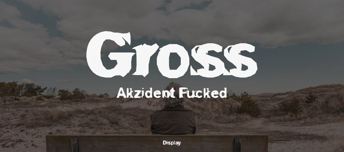 Gross Akzident Fucked Font