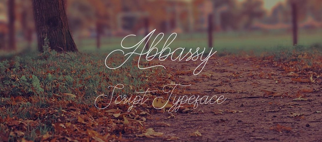 Abbassy Script Font