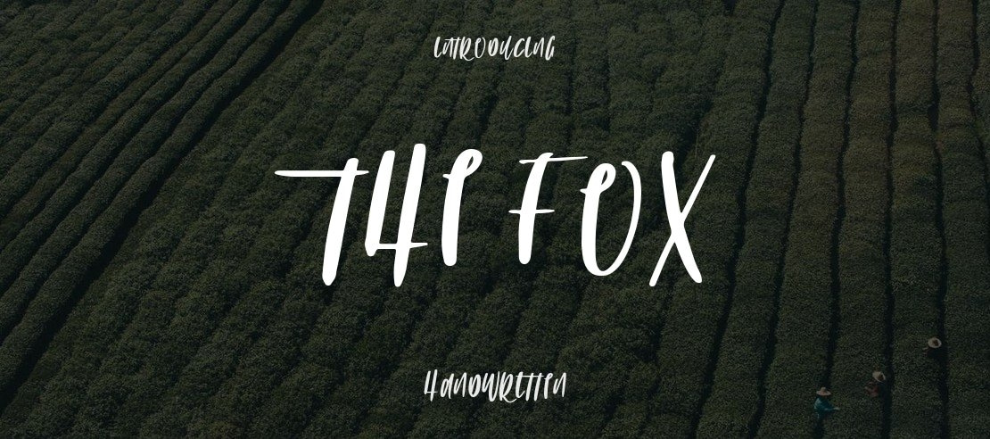 THE FOX Font