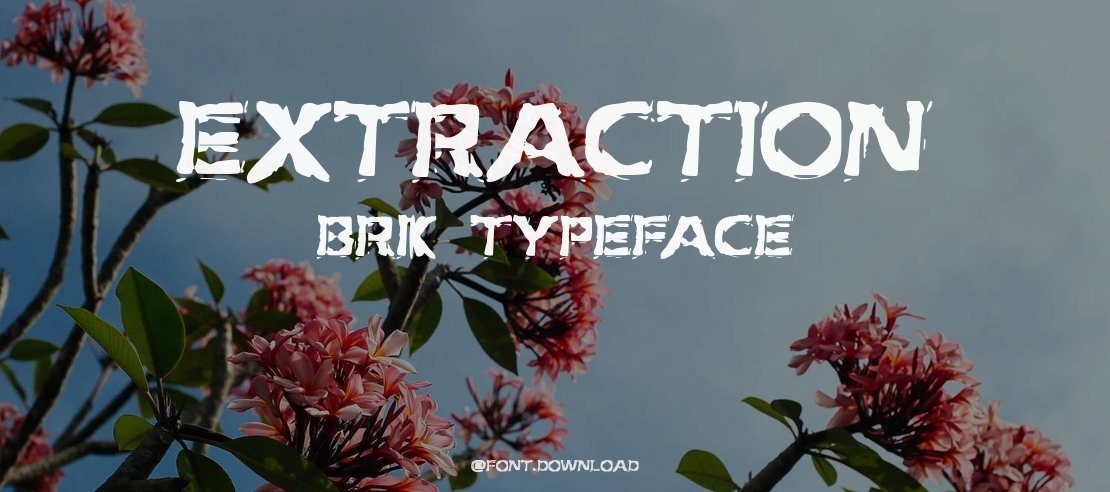 Extraction BRK Font