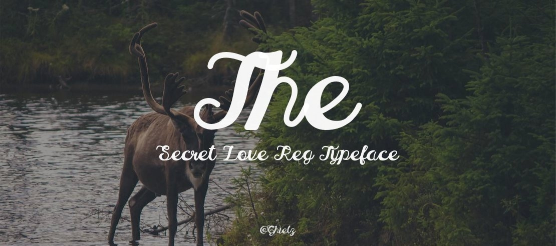 The Secret Love Reg Font Family