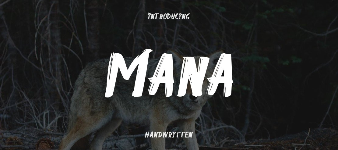 Mana Font