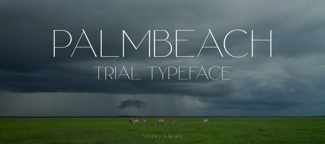 PalmBeach Trial Font