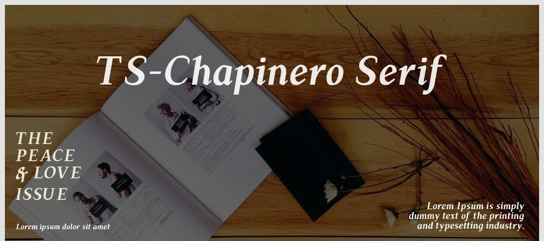 TS-Chapinero Serif Font Family