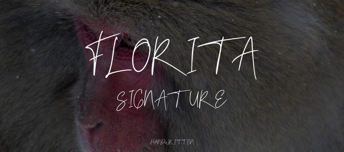 Florita Signature Font