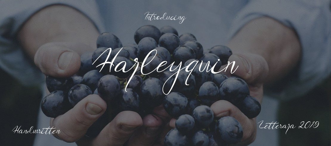 Harleyquin Font