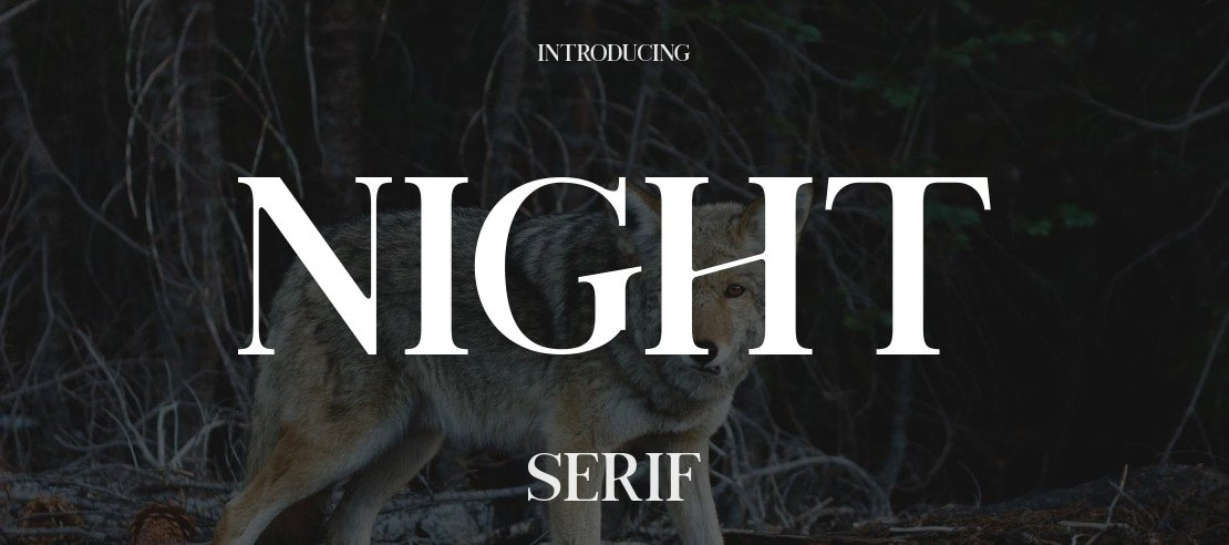 Night Font Family