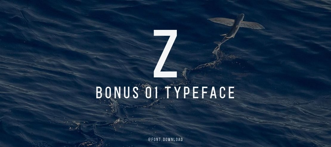 Z BONUS 01 Font