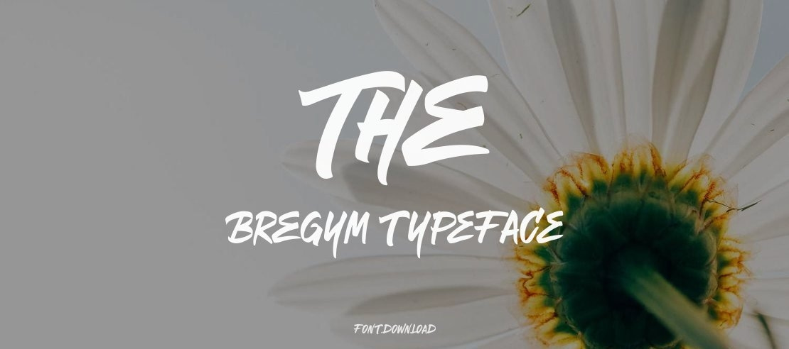 The Bregym Font