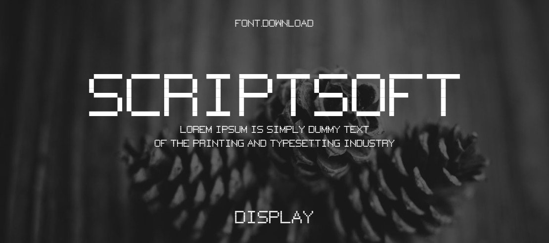 Scriptsoft Font