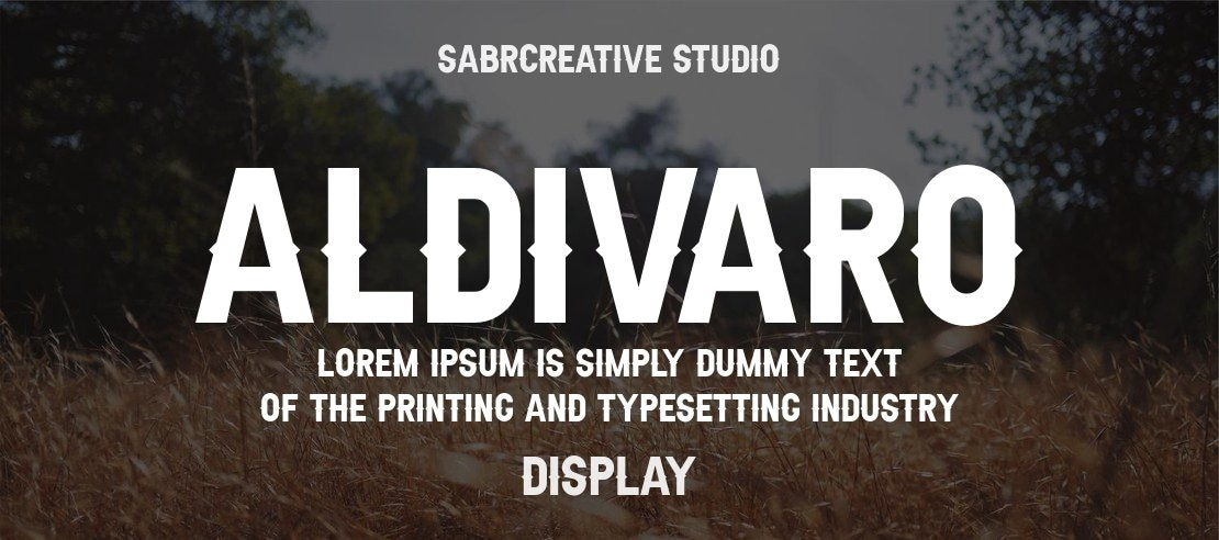 Aldivaro Font Family