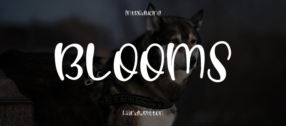 Blooms Font