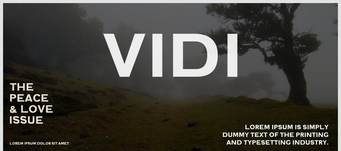 Vidi Font