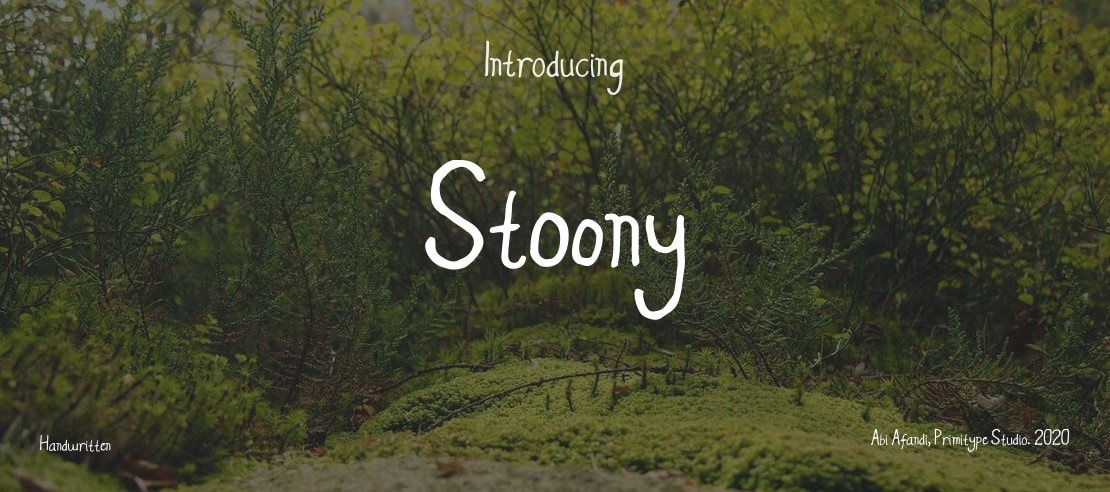 Stoony Font