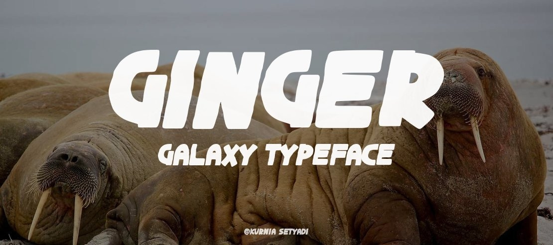 Ginger Galaxy Font