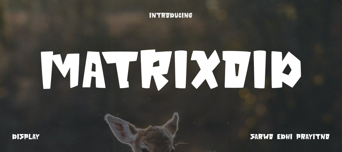 MAtRixOiD Font