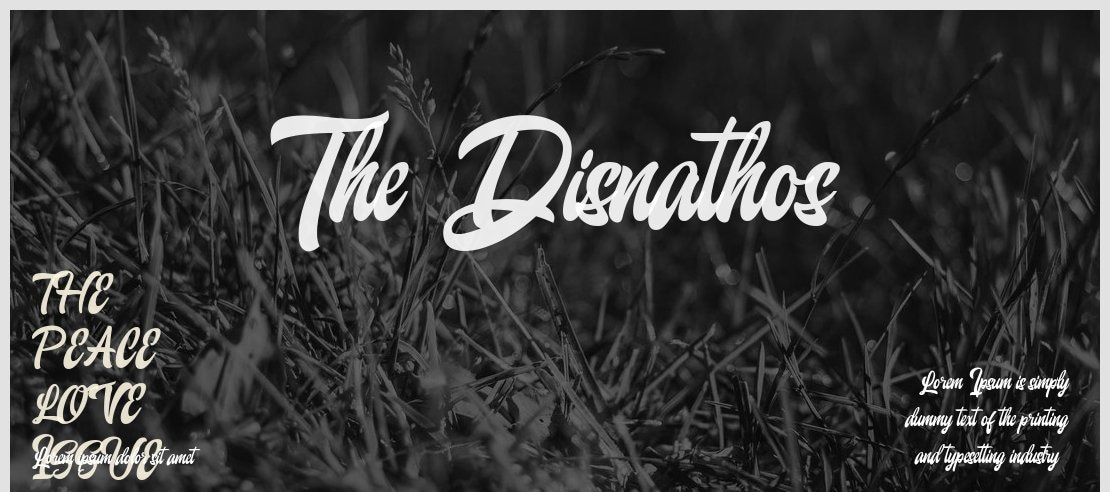 The Disnathos Font