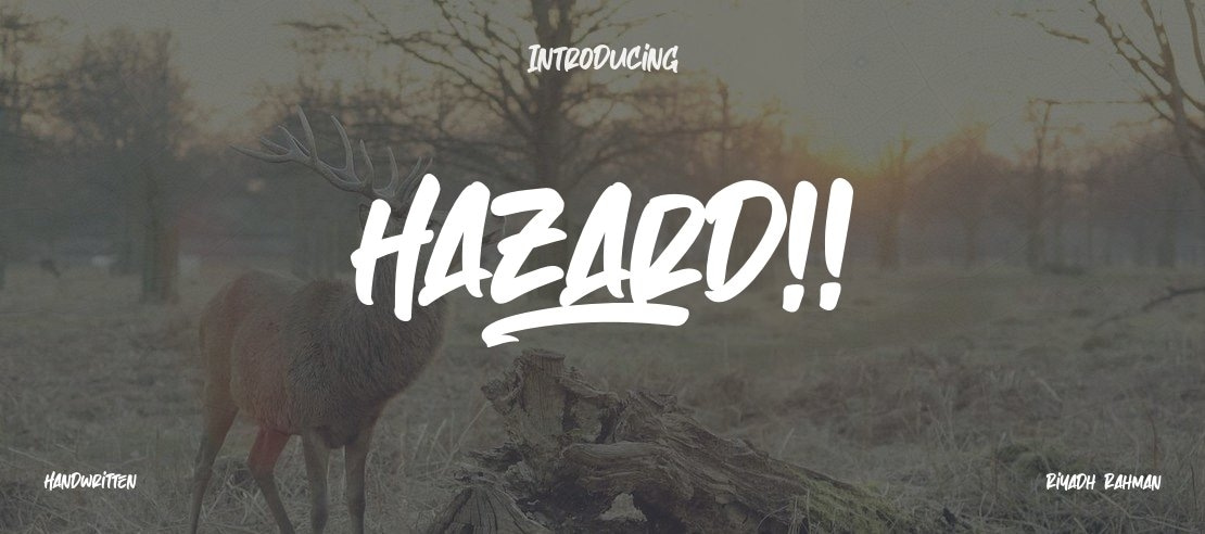 Hazard! Font