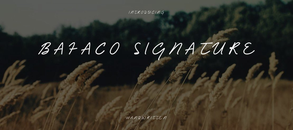 Bafaco_signature Font